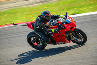 DUC_RED_BL