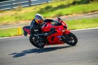KAWI_RED