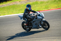 R6_PRIMER