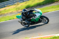 SV_GREEN