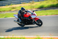 SV_RED