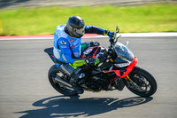 APRILIA_TUONO_INST