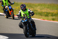 FZ09
