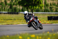 APRILIA_WL