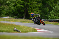 KTM_ORANGELID