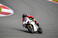 DUC_WHITE