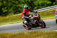 APRILIA_TUONO