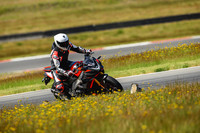 APRILIA_WL