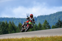 DUC_MONSTER_GT