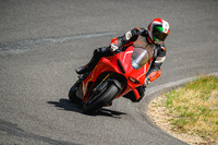 DUC_RED