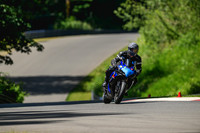 GSXR_BLUE