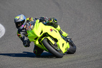 GSXRTRUESE