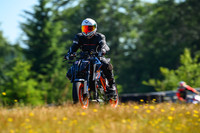 KTM_DUKE_WL