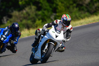 TRIUMPH_WHITE_TRACK
