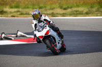 DUC_WHITE