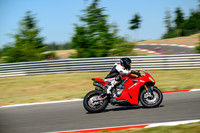 DUC_RED_YEL