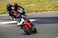 DUC_TRICOLORE