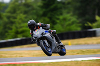 GSXR_PRIMER