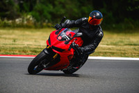 DUC_RED_BLACKSUIT