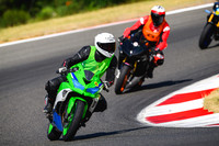 KAWI_GREEN_WL