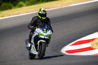 KAWI_WHITEGREEN