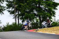 R6_PRIMER