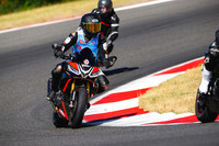 APRILIA_TUONO_VEST