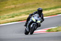 KAWI_GREY