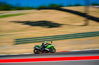 KAWI_GREEN