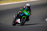 KAWI_GREYLID