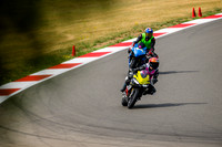 APRILIA_YELLOW