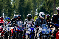 TRIUMPH_TIGER