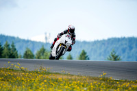 CBR_WHITE