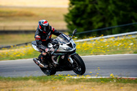 KAWI_SLIVER