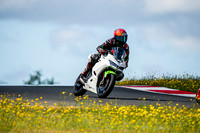 KAWI_WHITE