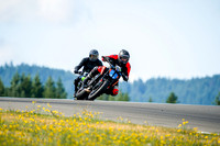 KTM_DUKE