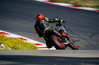 KTM_ORANGELID