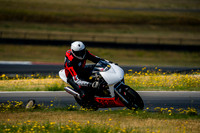 SV
