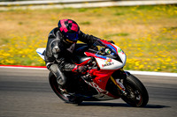 TRIUMPH_FANCY