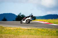 TRIUMPH_WHITE