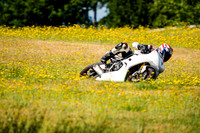 TRIUMPH_WHITE_TRACK