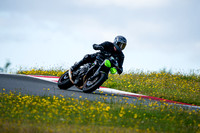 TT_GREEN