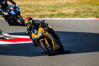 TRIUMPH_GOLD