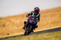 KAWI_RED_FANCY