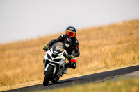 KAWI_WHITE