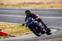APRILIA_STRIPES