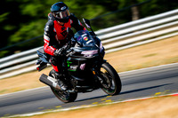 KAWI_SCRATCHOLA