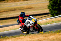 R1_YP
