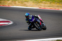 APRILIA_PURP