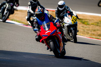 DUC_RED